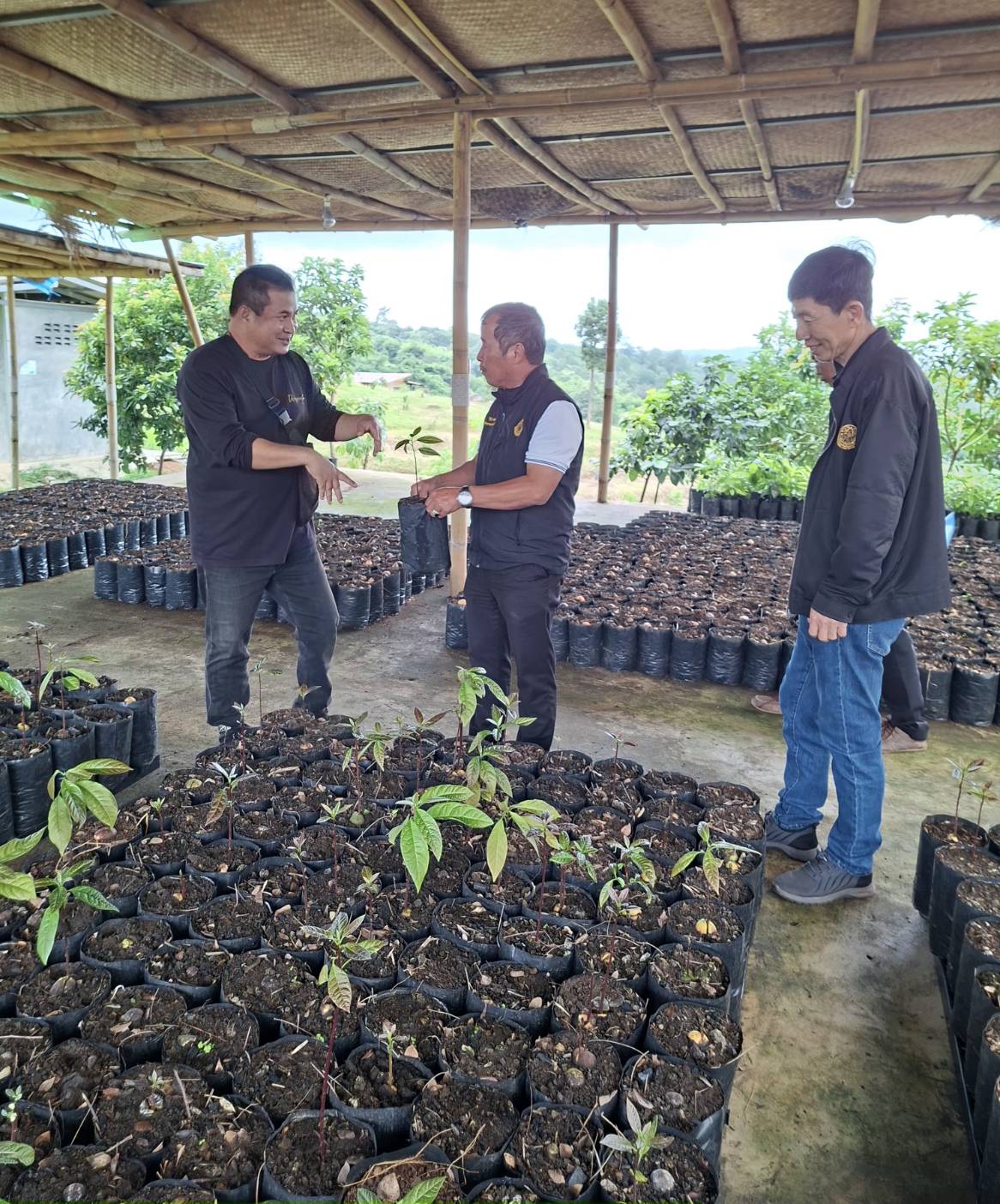 title - ผู้ตรวจราชการ ส.ป.ก. ประชุมตรวจติดตามความก้าวหน้าผลการดำเนินงานตามแผนการตรวจราชการของ สำนักงานการปฏิรูปที่ดินเพื่อเกษตรกรรม ประจำปีงบประมาณ พ.ศ. 2569 รอบที่ 2  เขตตรวจราชการที่ 13 จังหวัดชัยภูมิ